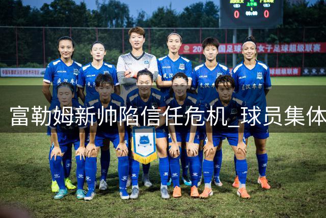 富勒姆新帅陷信任危机 球员集体删除俱乐部信息